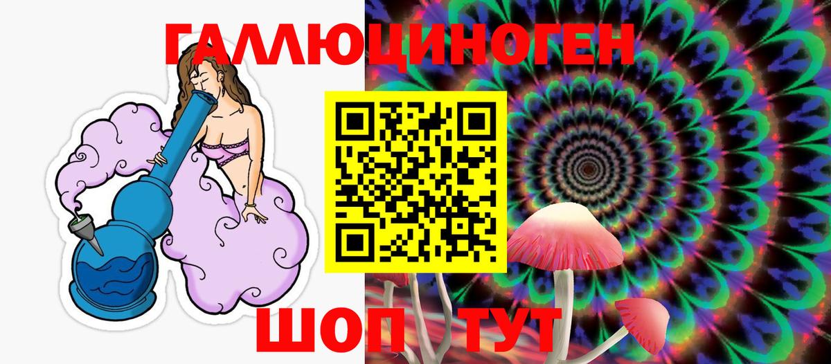 Псилоцибиновые грибы GOLDEN TEACHER Балашов
