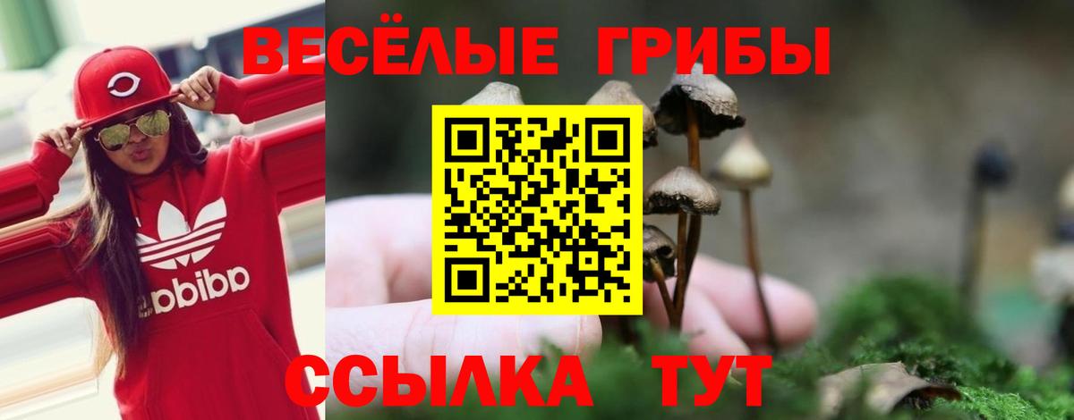 Галлюциногенные грибы GOLDEN TEACHER  Вход с VPN  Галлюциногенные грибы Magic Shrooms  Балашов 