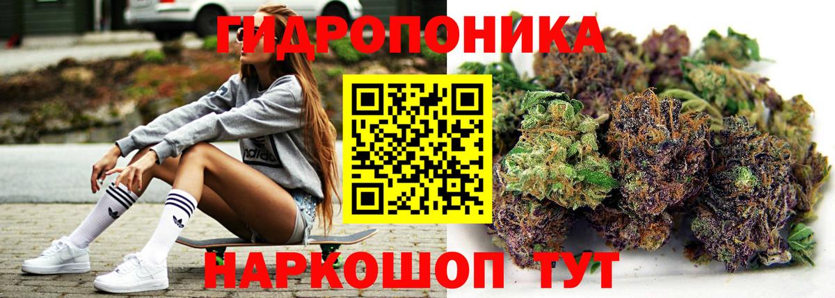Бошки Шишки Bruce Banner  Вход с VPN  Канабис гибрид  Балашов 